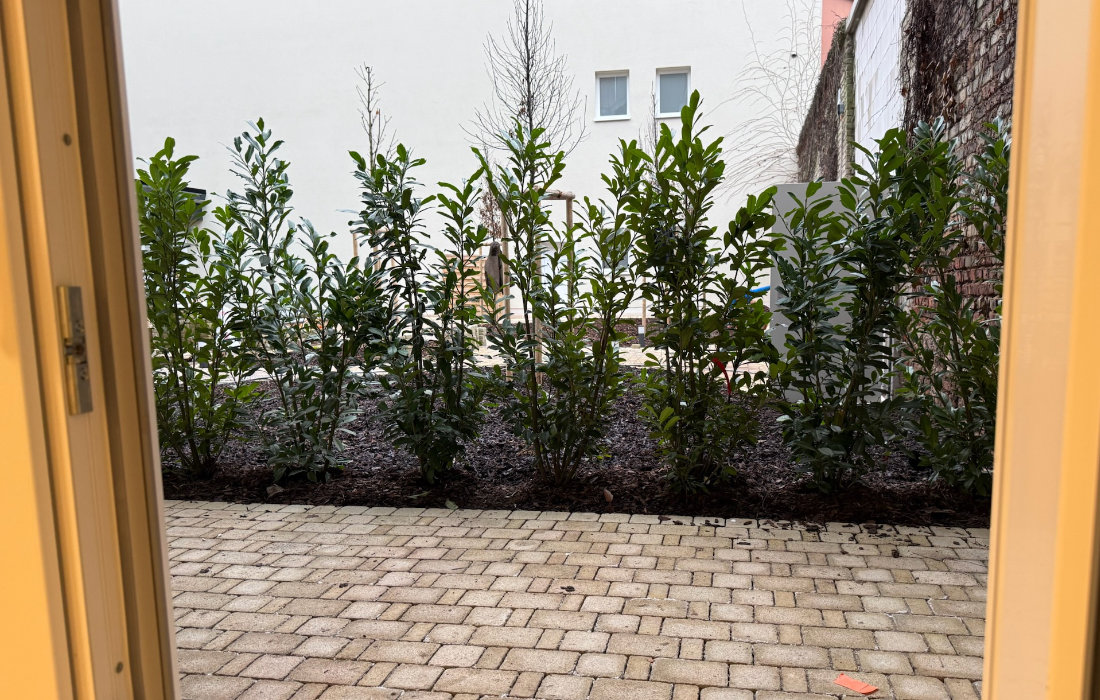 Duplex apartment on the ground floor at RW63 – interior view 5 of 5